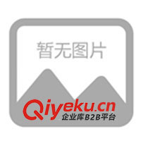 供應(yīng)廣東省佛山,廠家直銷,丙綸,扁平吊裝帶